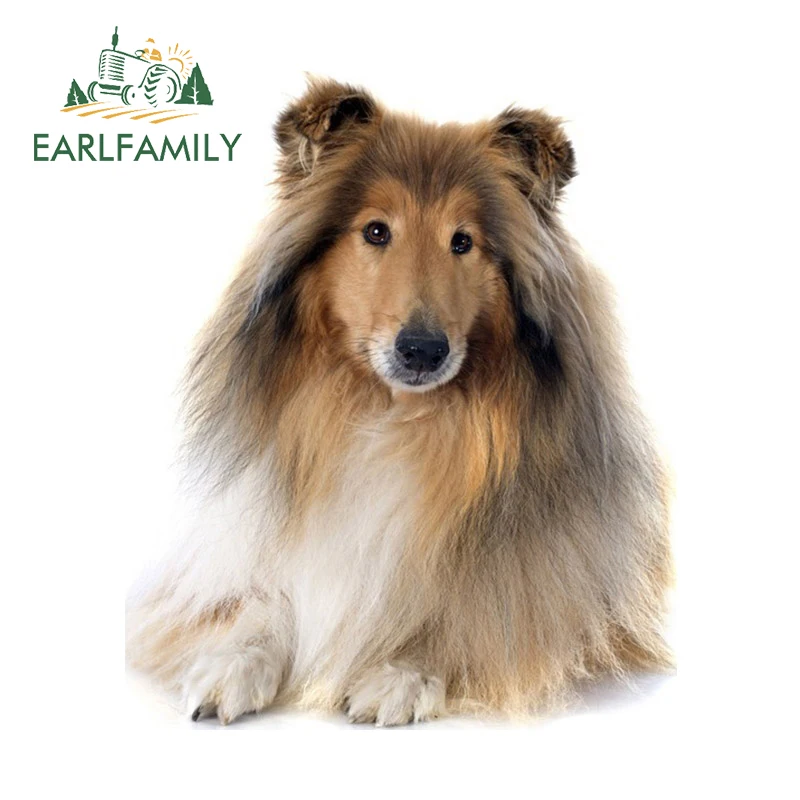 

EARLFAMILY 13 см x 10,5 см для собаки грубые колли автомобильные наклейки и наклейки виниловые индивидуальные устойчивые к царапинам наклейки 3D окно автомобильная пленка