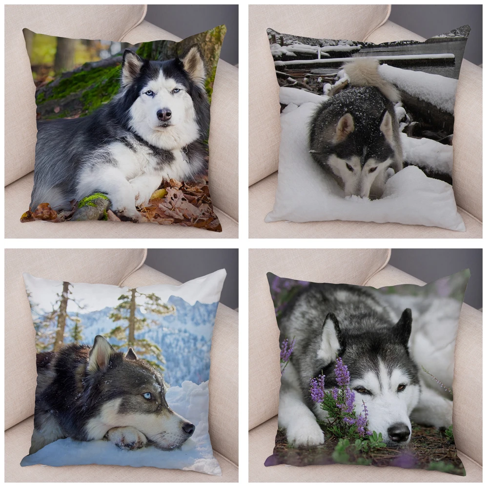 

Home Decoration Pet Siberian Husky Dog Printed Pillowcase Sofa Animal Cushion Cover Polyester Pillowcase funda de almohada