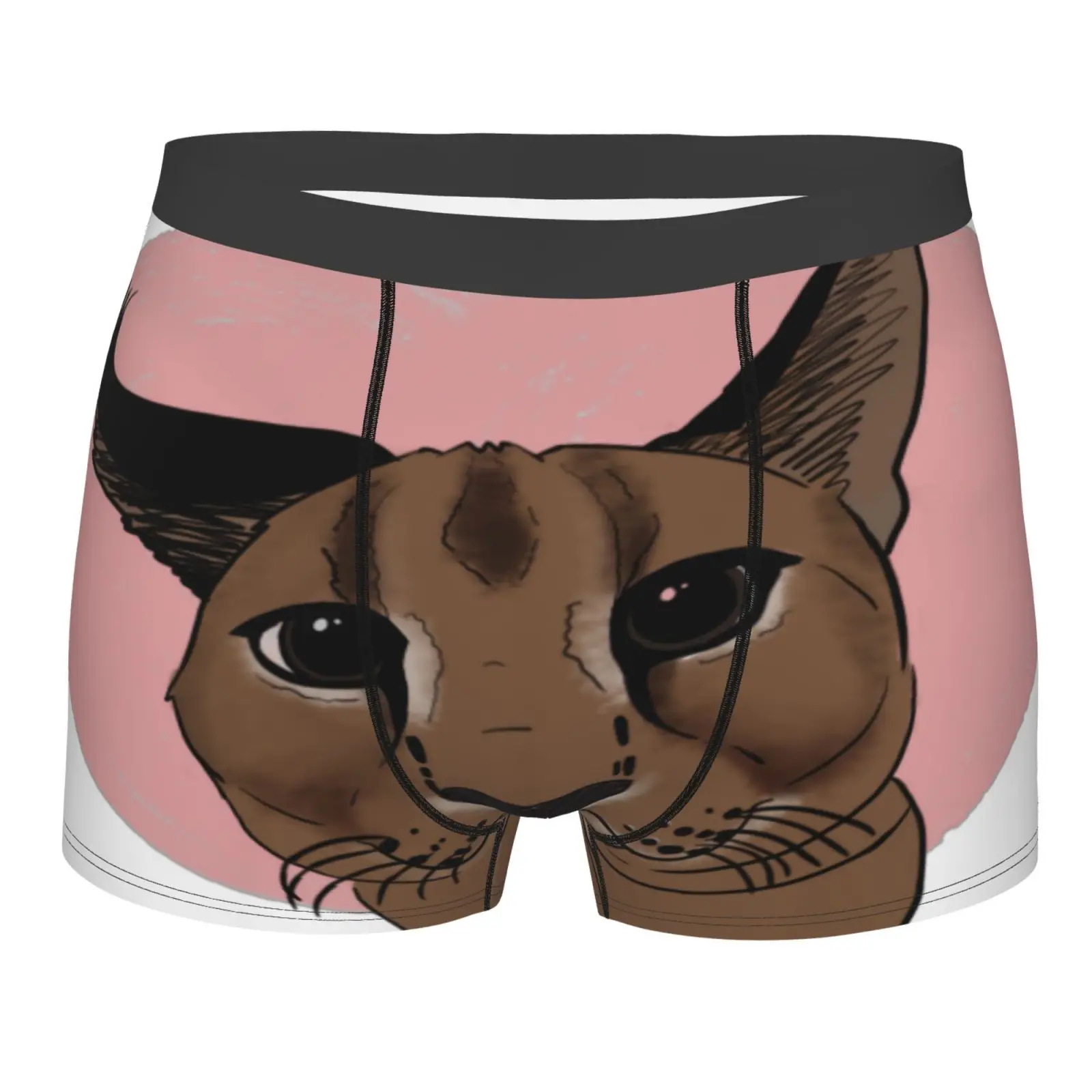 

Floppa 679 Men's Panties Underpants Boxer Mujeres Underwear For Man Boxer Shorts Sport Mens Polyester Pouch Sexy Men Underwear