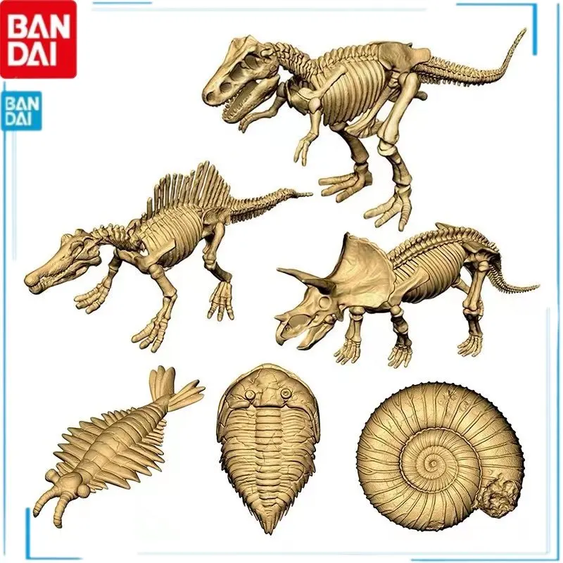 

In Shelf BANDAI Dinosaur Fossil Tyrannosaurus Sterrholophus Marsh Trilobita Action Figure Model Kids Toy Christmas Gift