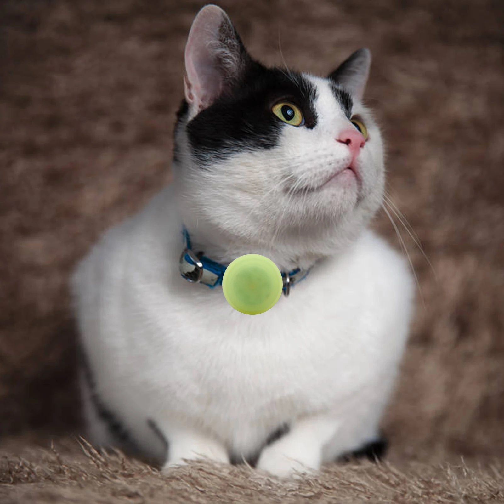 

Силиконовый защитный чехол для домашних животных, ошейник со светодиодный Ной подсветкой для собак и кошек, петля для этикеток Apple airtag, чехо...