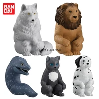 genuine bandai gashapon capsule toy gacha animal personification waiting for you cat lion fox model table decoration figure