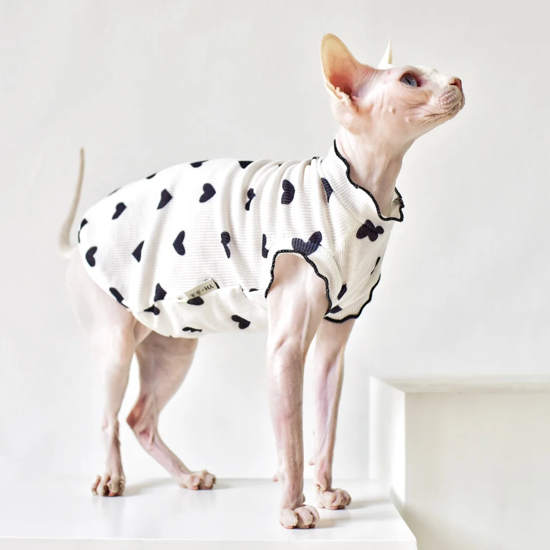 

Sphynx Cat Clothes Cool Slippery Ice Silk T-shirt Casual hairless Cat Clothes Summer Thin Cat Clothes for Devon, Cornish, Abbey