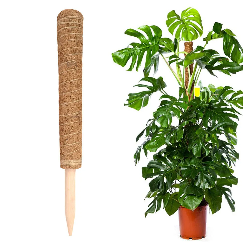

Coconut Stick For Plants Climbing Coir Totem Pole Safe Gardening Coconut Sticks For Climbing Plants Vines And Creepers