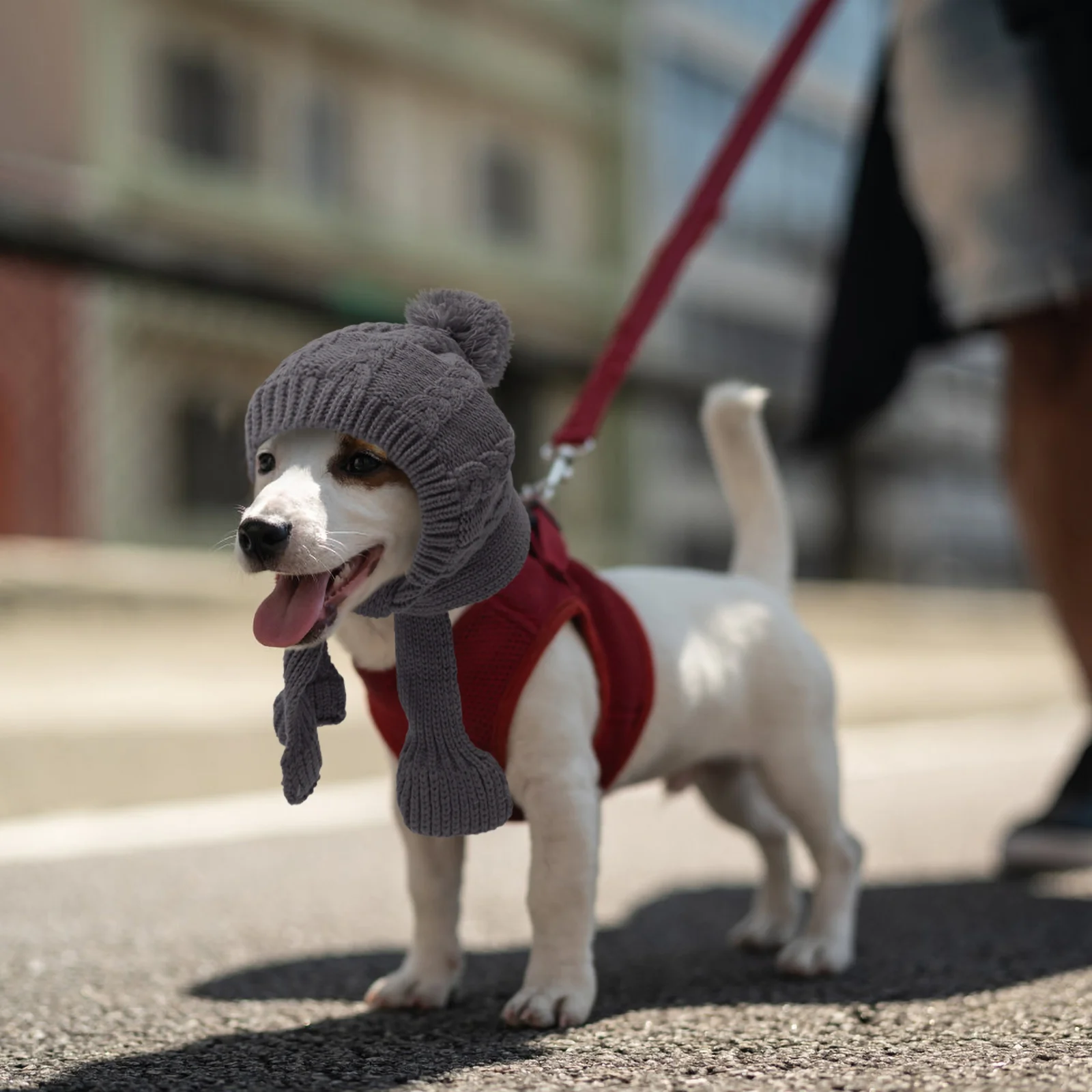 

Knitted Hat Pet Headgear Hats Dog Small Costume Decorative Yarn Dress Headdress Men Women Scarves