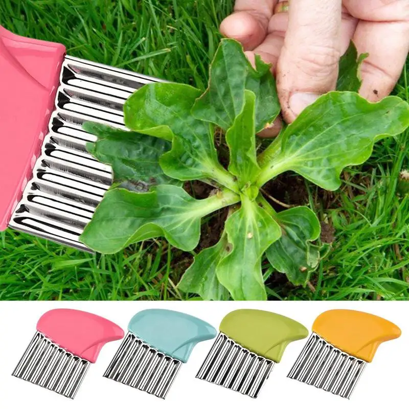 

Crevice Grass Weeder Brush 403 Stainless Steel Weed Cleaning Tool Garden Moss Brick Crack Weed Cleaning Tool Garden Supplies