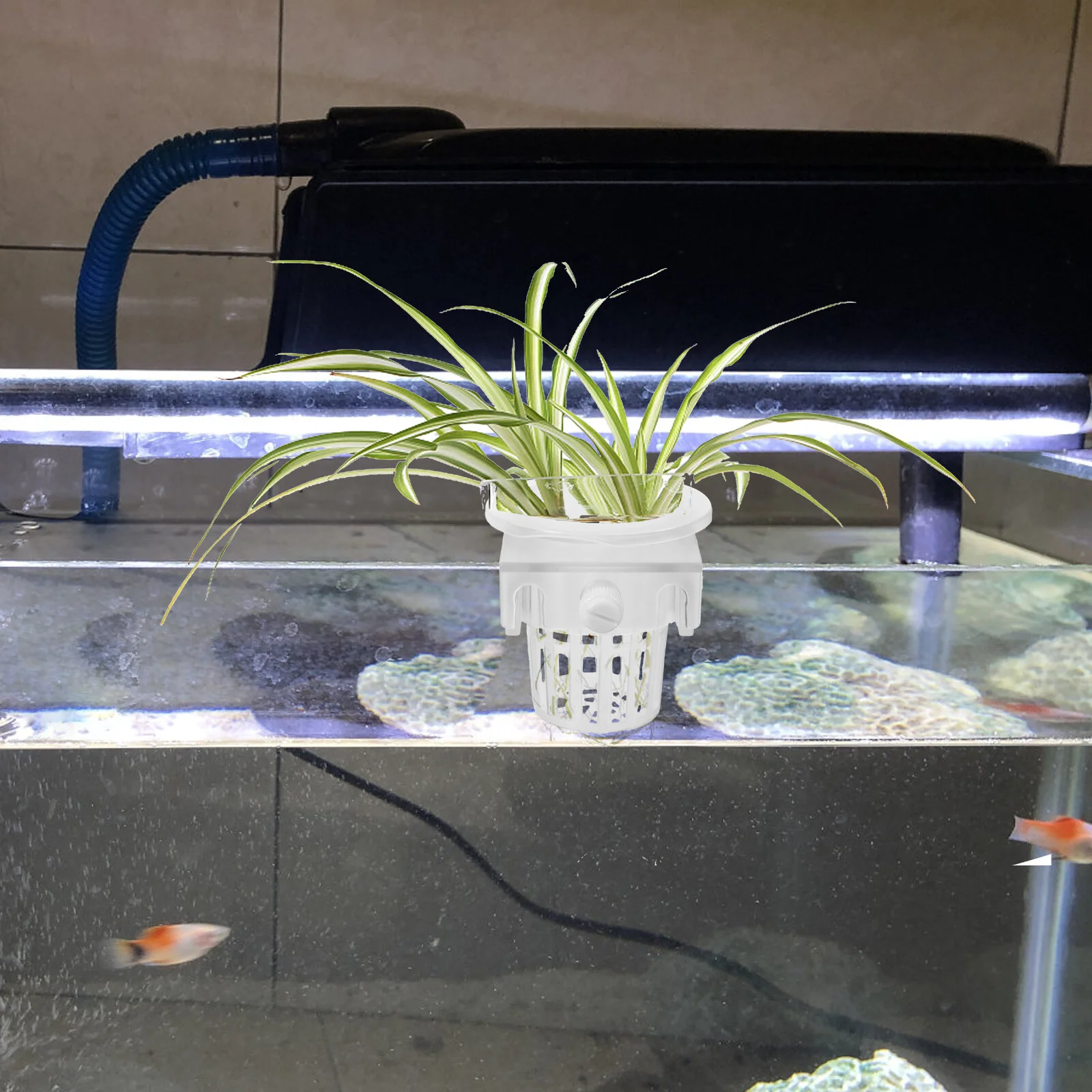 

2 Pcs Water Cup Fish Decorations Tank Hydroponics Baskets Net Pots Bucket Planting Plastic Mesh Cups Garden