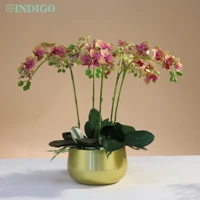 moth orchid diy flower arrangment 5pcs orchid5pcs leaf4 moss stonevase phalaenopsis office decoration centerpiece indigo
