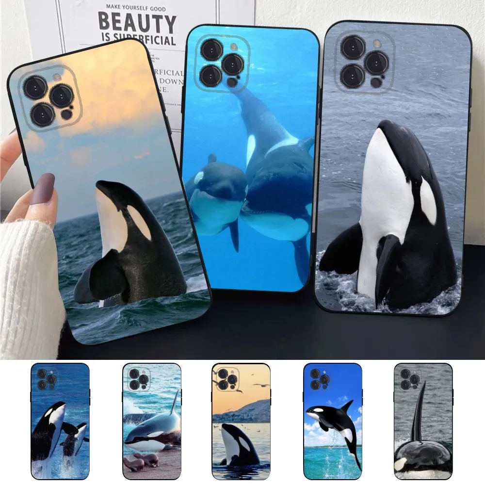 Чехол для телефона Killer Whale Orca Apple iPhone 15 14 13 12 11 XS XR X 8 7 Pro Max Plus mini Силиконовый черный
