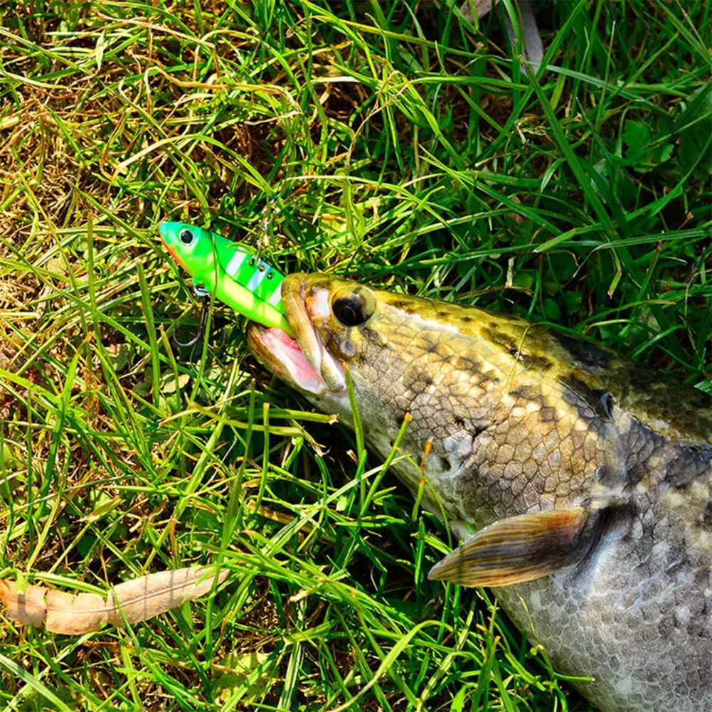 

Impact Resistant Lightweight Practical Fake Fishing Bait for Outdoor