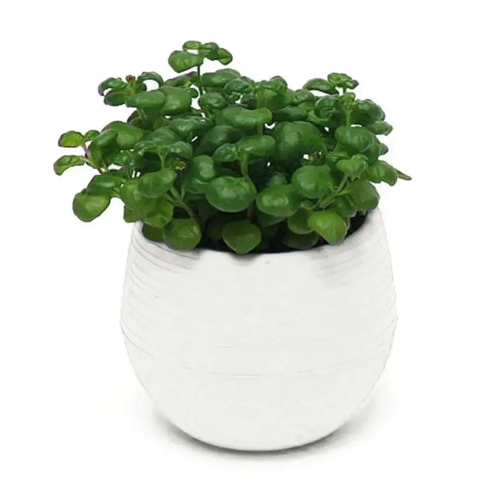 2 Layer Drain Hole Succulent Pot Mini Flower Pot Desk Green Plant Flowerpot Nursery Pots Home Garden Decoration Planters