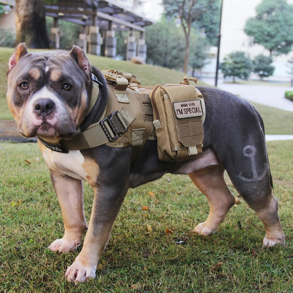 

Tactical Dog Vest Harness Service Dog Training Vest with Backpack Adjustable Breathable Dog Harness for Large Dog Bulldog