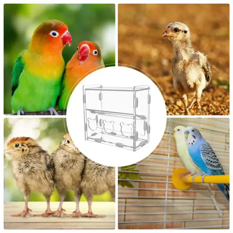 Коробка для кормления попугаев акриловый контейнер без беспорядка коробка еды с
