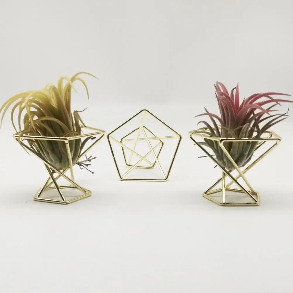 

Metal 3Pcs Practical Exquisite Workmanship Tillandsia Display Stand Anti-corrosion Fern Plant Stand Minimalist for Office