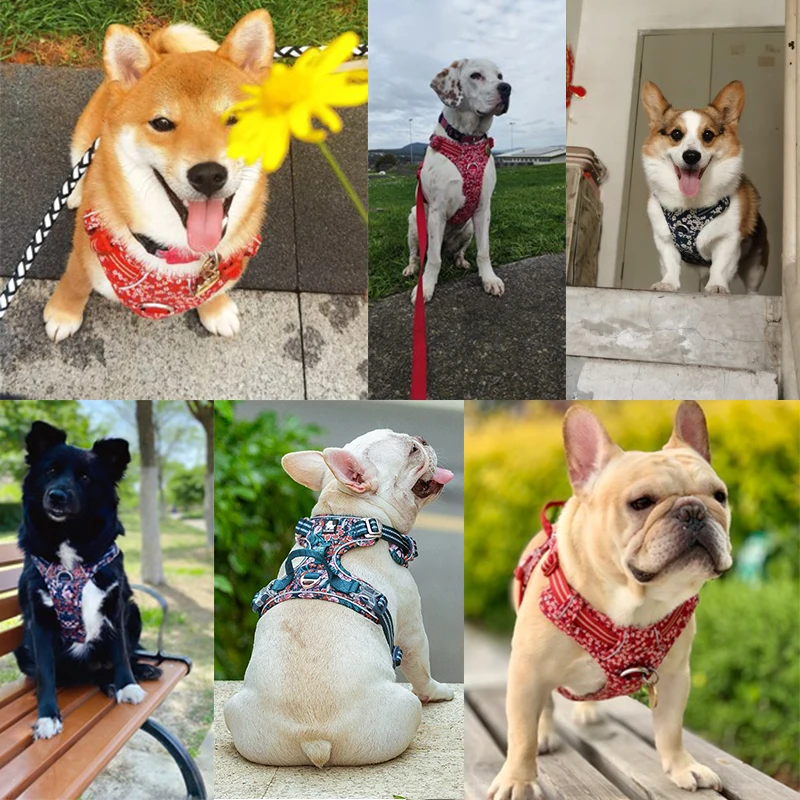 Фото Жилет Winhyepet для домашних животных с защитой от спасения, светоотражающая светильник подкладка из чистого хлопка, жгут для собак, защитная од... №2