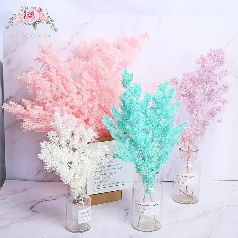 

70g Immortal Flower Penglai Pine Pampas Natural Dried Flowers Bouquet Fluffy Bohemian Vintage Home Wedding Party Decoration