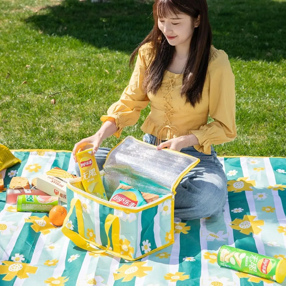 

Сумка клетчатая для пикника, мешок для хранения еды на весенний день и на пикник, Термоизолированный охлаждающий контейнер для еды