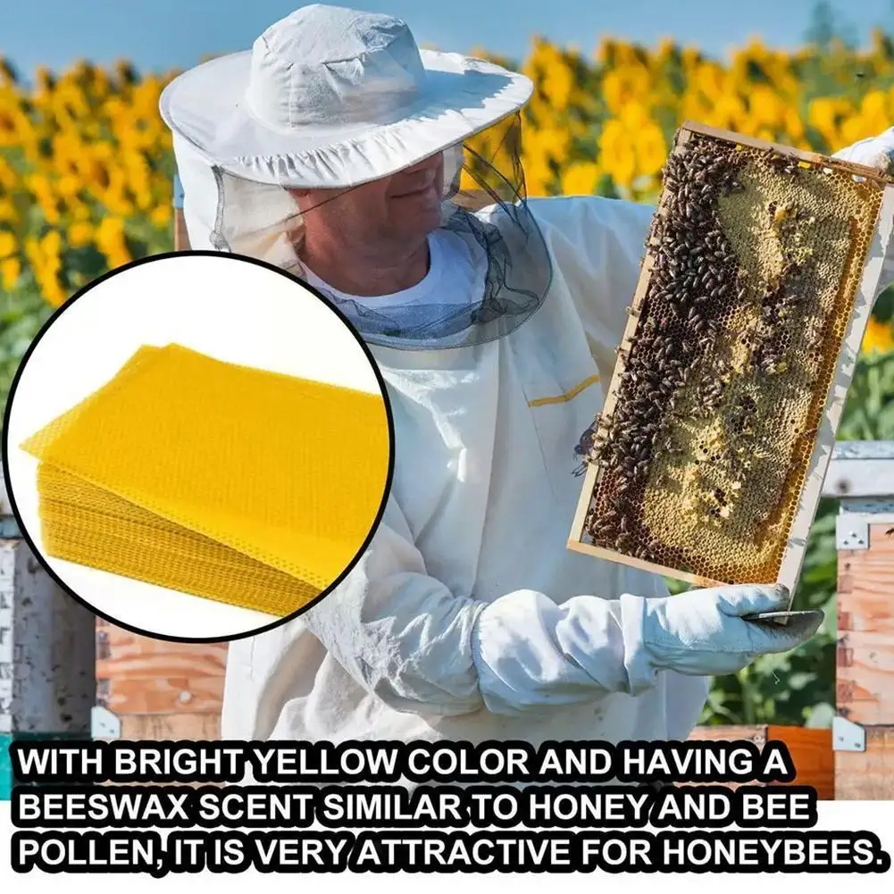 13*9cm Bee Wax Foundation Bee Hive Wax Frames Base Bee Sheets Sheets 10PCs Frame Beekeeper Comb Honey Equipment Beeswax L7I3