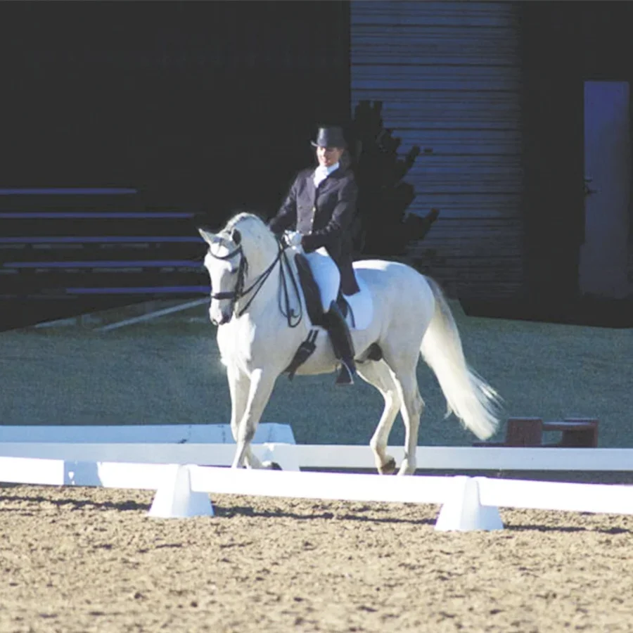 Для Fentech 20x60 м белый ПВХ ограждение для Выездки