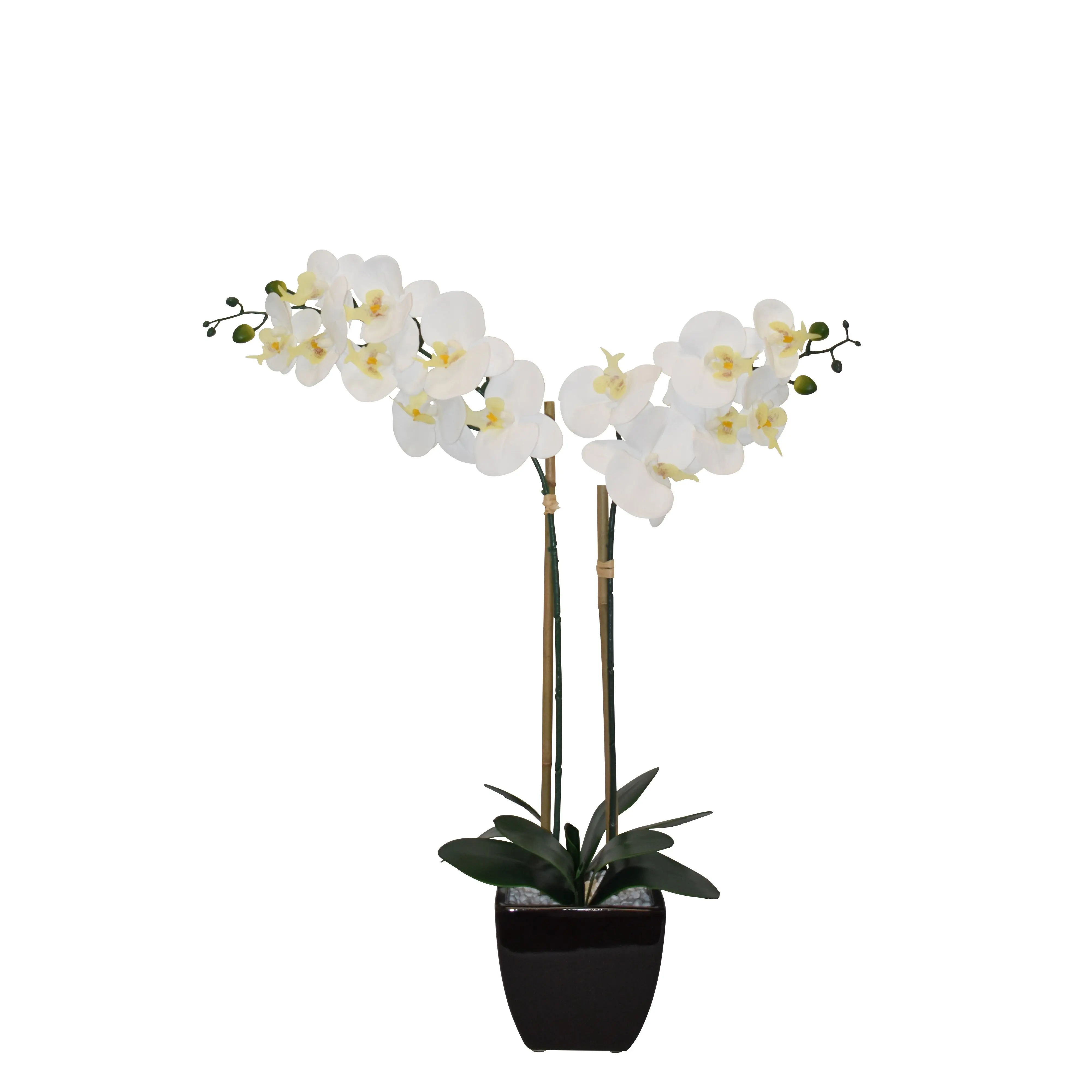 

Tabletop Artificial Orchid
