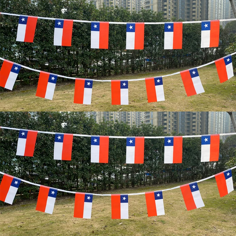 Aerlxemrbrae 5,5 м 20 шт./комплект 14 см x 21 см Чили веревочный флаг Чили подвесной мини флаг Окно Флаг