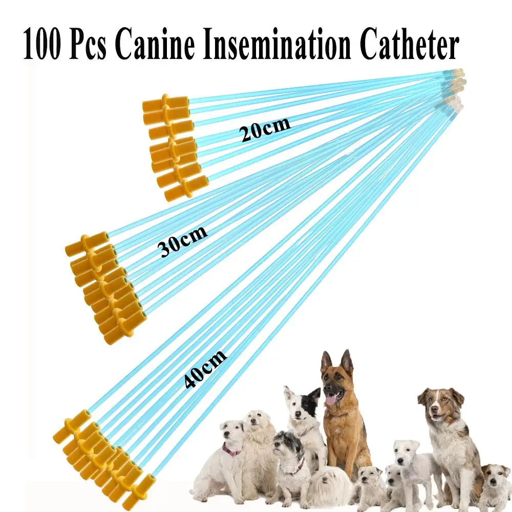 

Sperm Pipe Injection Deferens Semen Deposition Canine Pet Disposable Catheter Artificial Dog Wholesale Vas Insemination