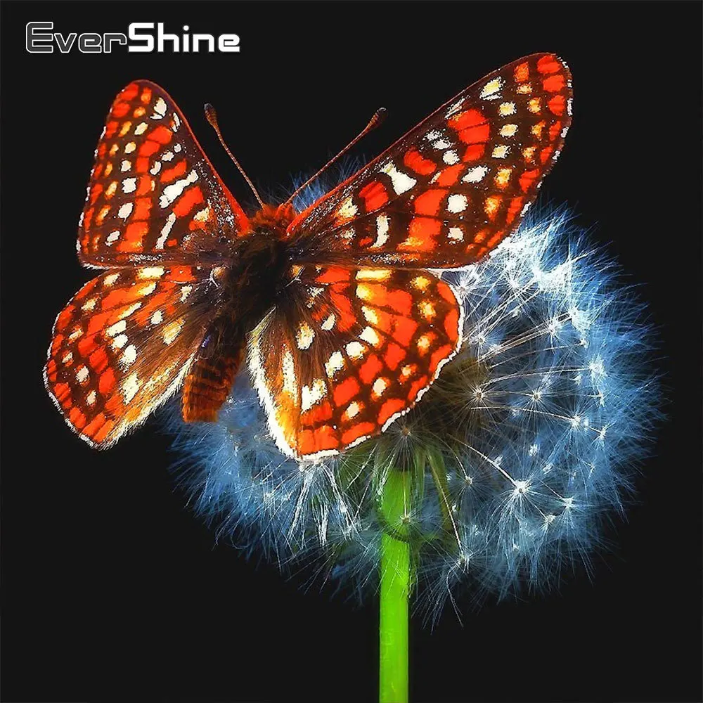 

EverShine Алмазная мозаика бабочка подарок ручной работы Алмазная вышивка животные полная площадь Алмазная живопись одуванчик картина стразам...