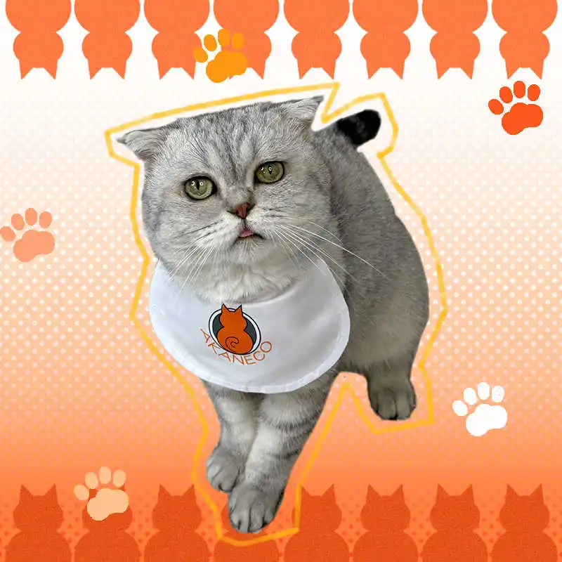 Аниме красная кошка рамен аканко бунзо домашняя Собака Кошка костюм для косплея