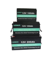 lithium iron phosphate battery solar lifepo4 battery pack 100ah 200ah 300ah 12v lithium ion battery