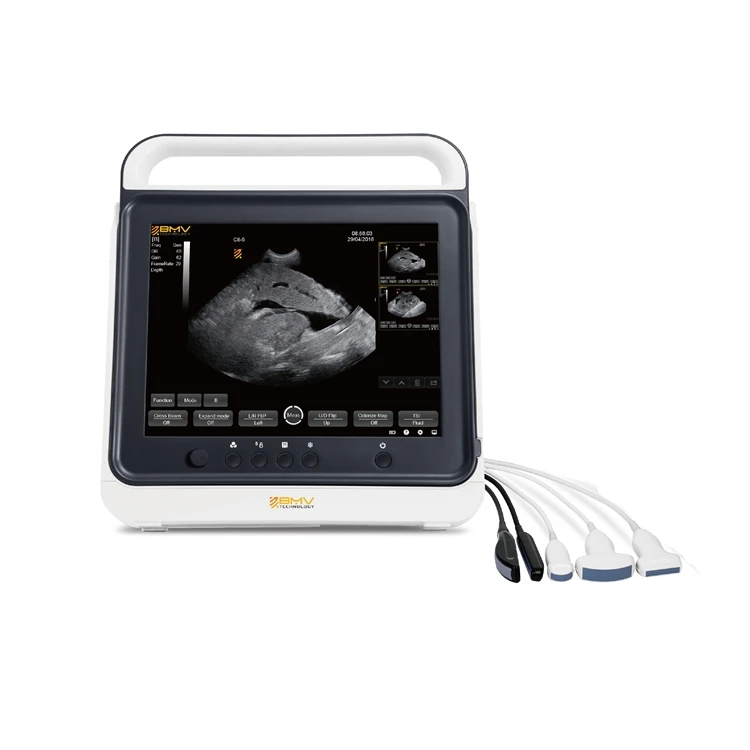 

Veterinary medical vet ultrasound veterinaria ultrasonido