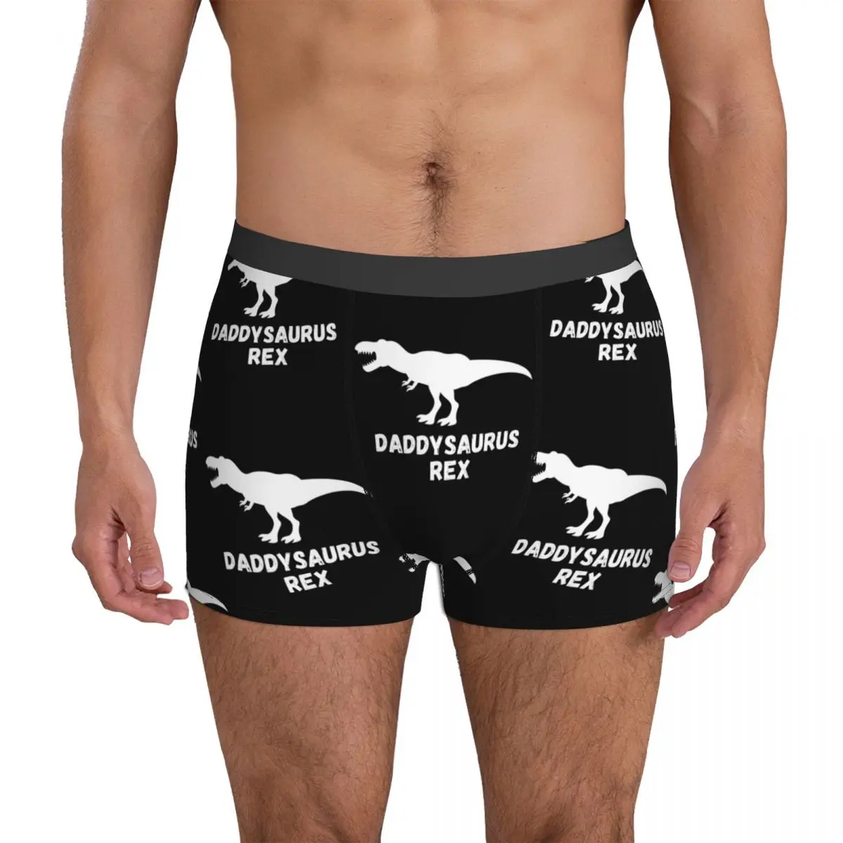 Dinosaur Dad Saurus Underwear party t rex funny Print Trunk Hot Males Underpants Cute Shorts Briefs Birthday Gift