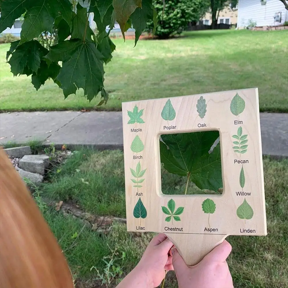 

Nature Guide Finder Leaf Finder Cloud Viewer Cloud Guide Guide Frame Identification Nature Materials Montessori Homeschooli T6U6