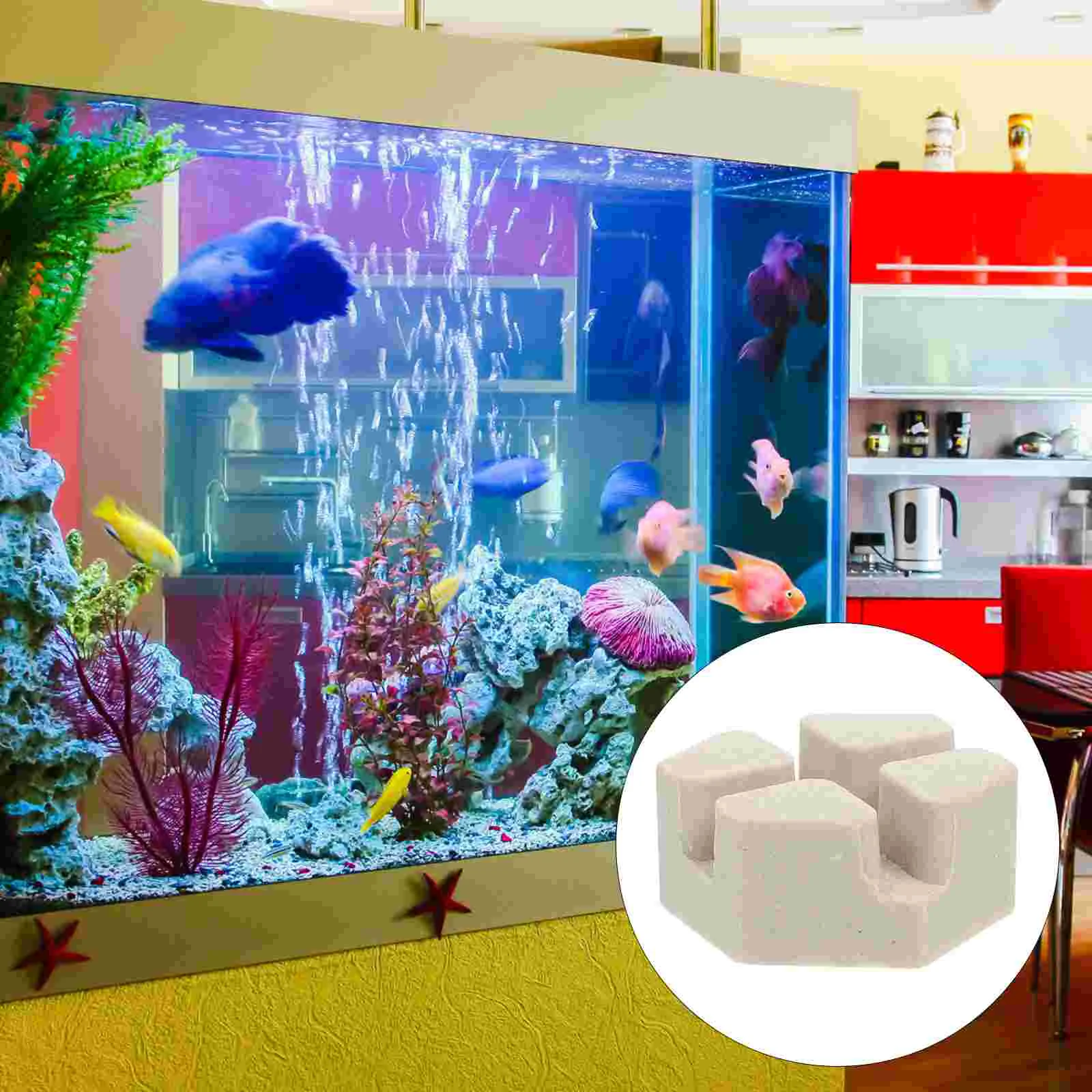 

Frag Coral Plugs Holder Tiles Fishstations Disks Disc Ceramic Reefdiy Tank Plug Aquarium