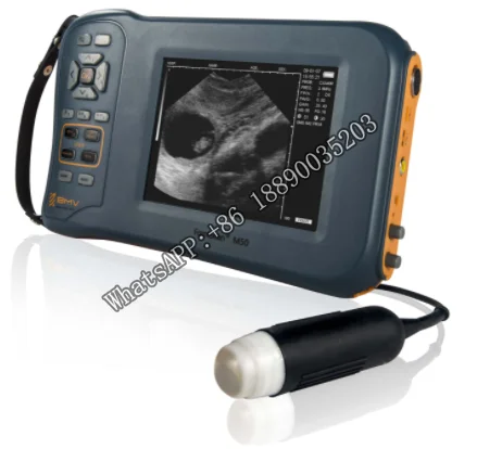 

Equine/Cattle/Cow/Horse/Goat//Sheep/Pig/Dog/Cat Portable Veterinary Ultrasound Equipment/Machine/Scanner
