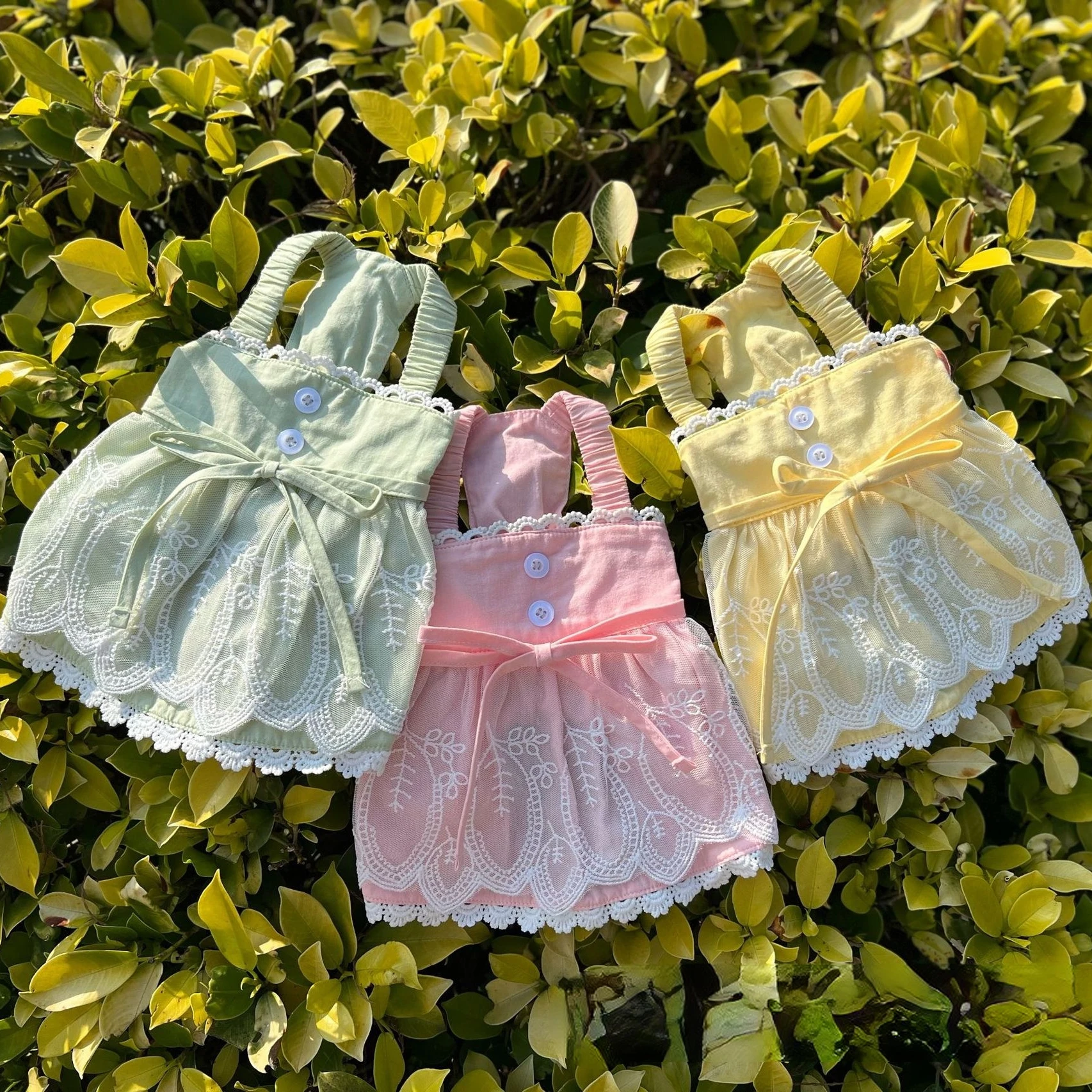 Весенне-летние хлопковые кружевные подтяжки маленькая собака Мальта Бишон