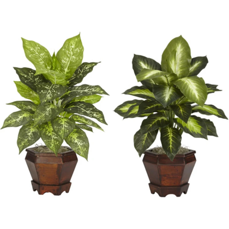 

Dieffenbachia with Wood Vase Artificial Plant (Set of 2), Multicolor