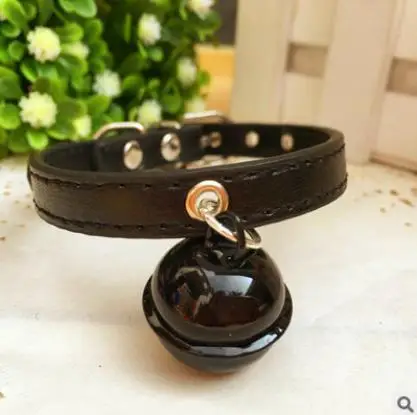 

Ошейник для кошек, Котят, щенков, собак, персонализированные маленькие ошейники для чихуахуа