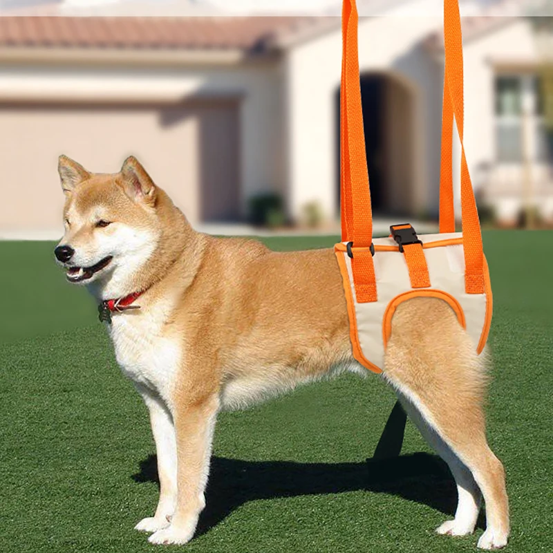 

Dog Sling Back leg brace helps restore hind limb disability and injuries in dogs with weak hind legs help restore arthritic ACL