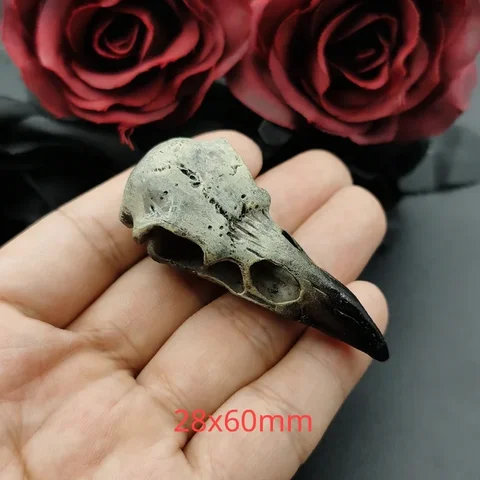 2 шт. 28*60 мм 3D череп ворона мужские ожерелье с кулоном череп Magpie Готический подарок на Хэллоуин Птица Череп ювелирные изделия ручной работы аксессуары
