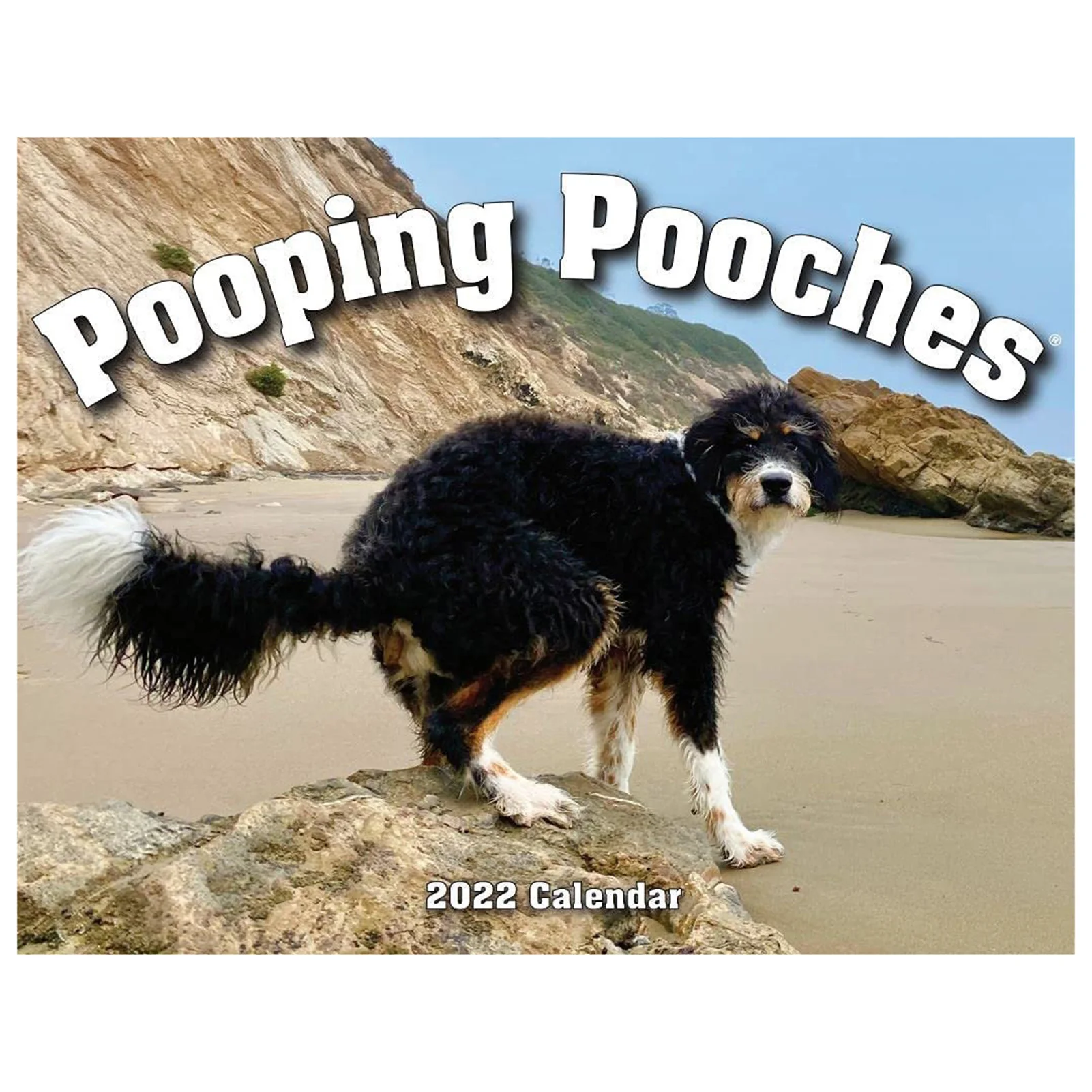 

White Elephants Gag Gift Calendar Funny Gag Gift Puppies Dogs 2022 Hangable Wall Calendar Gift For White Elephants Yankee Swap