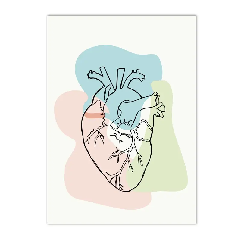 

Художественный постер анатомии человека ARDOR