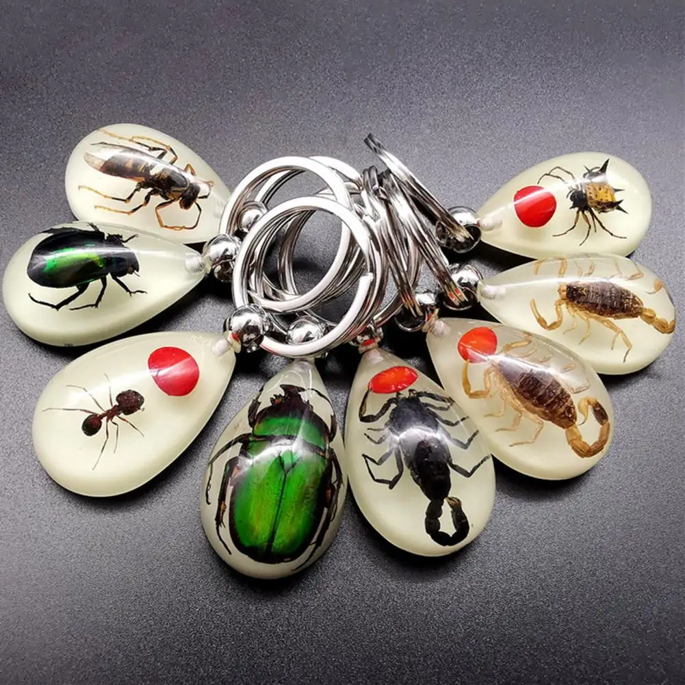 

Dropshipping！Keychain Pendant Decorative Exquisite Glow in The Dark Crabs Ants Spider Scorpion Key Ring Pendant for Men