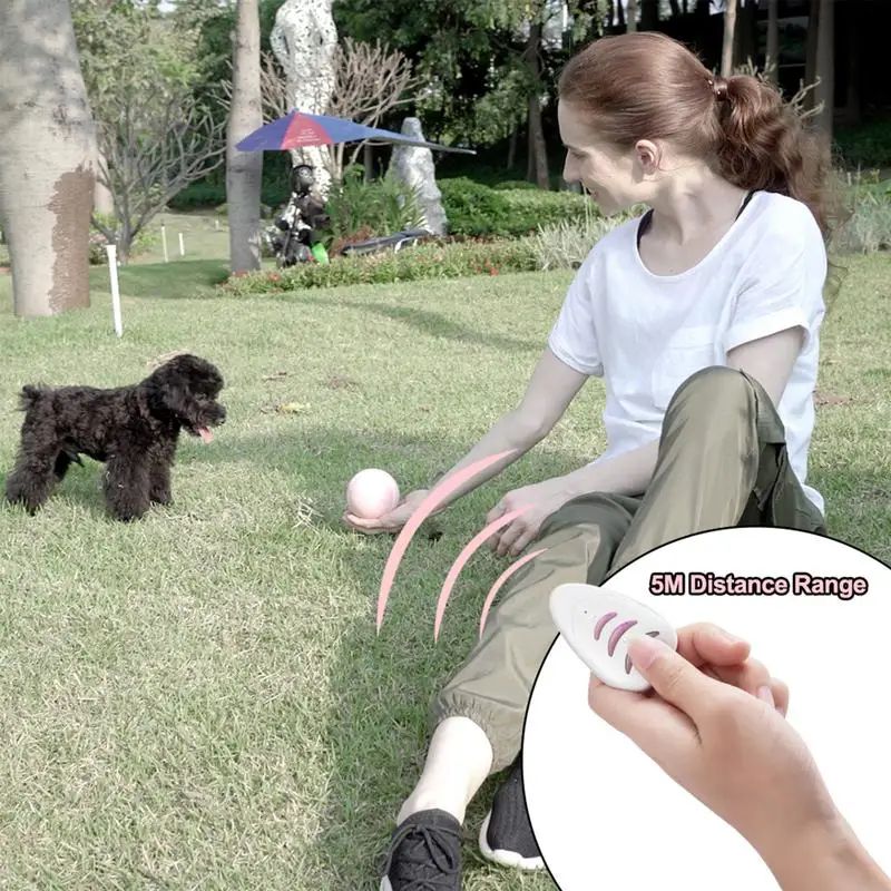 

Интерактивный мяч с дистанционным управлением для домашних животных, игрушка для кошек, светодиодный светящийся мяч с движением, USB, Электр...