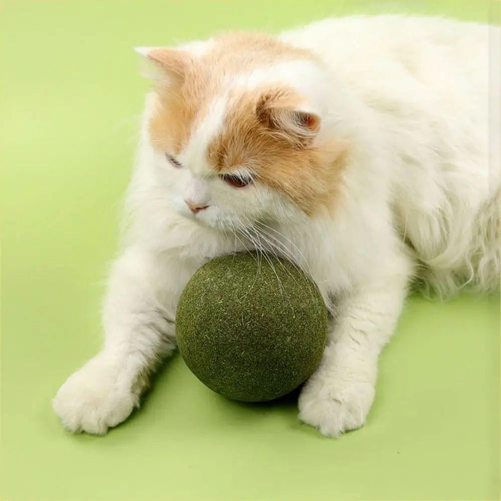 

10cm/3.94in Pet Snacks Relieve Boredom for Kitten Teeth Grinding Cat Teaser Toys Cat Mint Balls Cat Treat Cat Chasing Ball