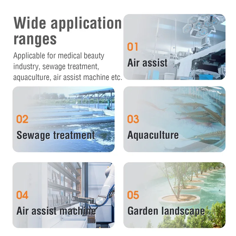 Воздушный насос US 110 В/60 Гц RISSEE AP-30 18 Вт 30 л/мин 0 030 МПА