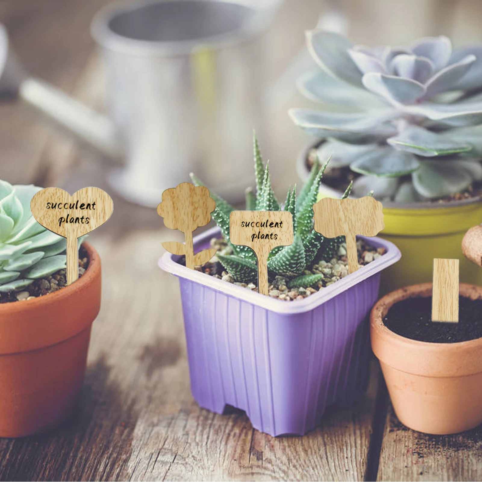 

60pcs Plant Labels Vegetable Garden Markers Garden Nursery Labels Wooden Plant Stakes Labels Gift Wooden Garden Stakes Succulent