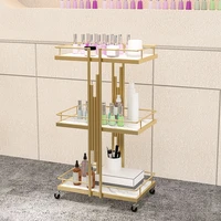 beauty salon trolley manicure and eyelashes tattoo special rack light luxury instrument storage rack movable tool cart