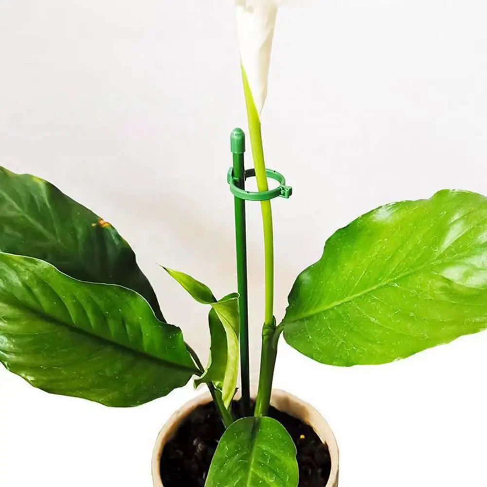 

Подставка фаленопсиса для двора сада бонсая, удобная Антикоррозийная подставка для поддержки фаленопсиса, 1 комплект