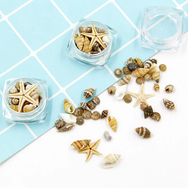 

1Jar Nail Art Marine Jewelry Japanese New Conch Shell Starfish Bottled Nails Charm Parts Decoration 3D Mini Manicure Accessories
