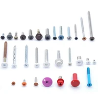 customized baking decorative screws colorful painted head screws with painted surface tornillos fasteners